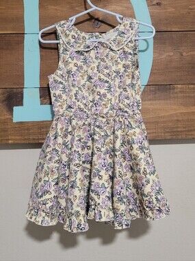 Little Minis Ditzy Floral Sleeveless Petter Pan Collar Ruffled Hem Dress Size 3t